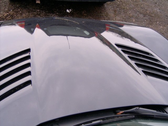 hpim3390.jpg