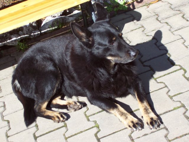 obraz068.jpg