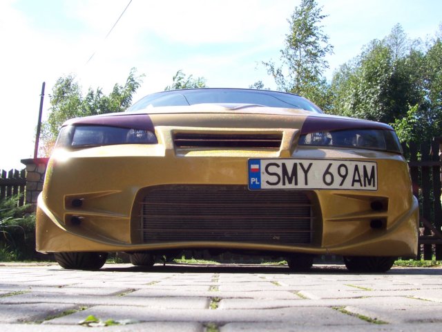 obraz080.jpg