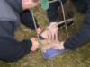dscf0160_small.jpg