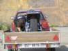 dscf0231_small.jpg