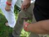 dscn0843_small.jpg