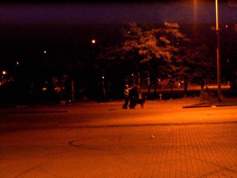 hpim5455.jpg