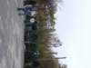 dscf4464_small.jpg