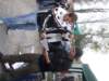 dscf4638_small.jpg