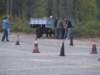 dscf4731_small.jpg