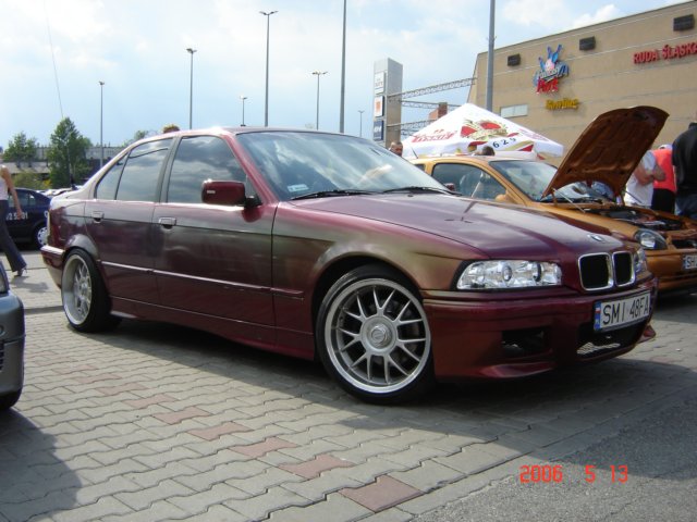 dsc05269.jpg