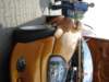 dsc05271_small.jpg