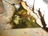 dsc05307_small.jpg