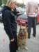 dsc05344_small.jpg