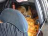 dsc05359_small.jpg