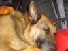 dsc05394_small.jpg