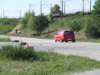 dscf2935_small.jpg