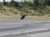 dscf1400_small.jpg