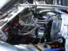 dsc05101_small.jpg