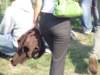 dscf3327_small.jpg
