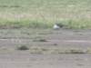 dscf3441_small.jpg