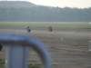 dscf3474_small.jpg