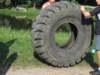 dscf2794_small.jpg