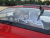 dscf1037_small.jpg