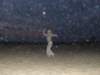 dscf1151_small.jpg