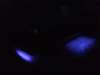 dscf1175_small.jpg