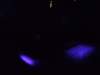 dscf1178_small.jpg
