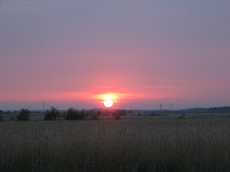 img_0499.jpg
