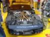 dsc02022_small.jpg
