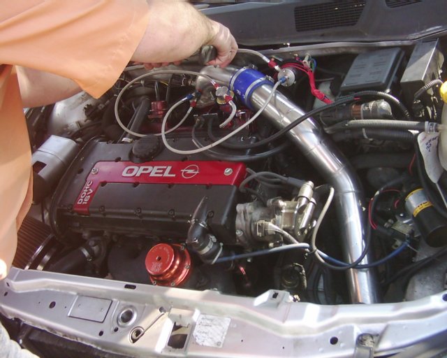 dsci00455ft.jpg