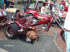 hpim0478_small.jpg