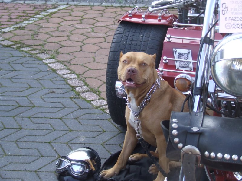 dscf4165.jpg
