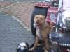 dscf4165_small.jpg