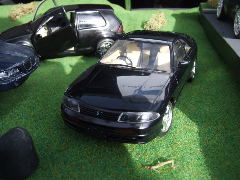 dscf4187.jpg