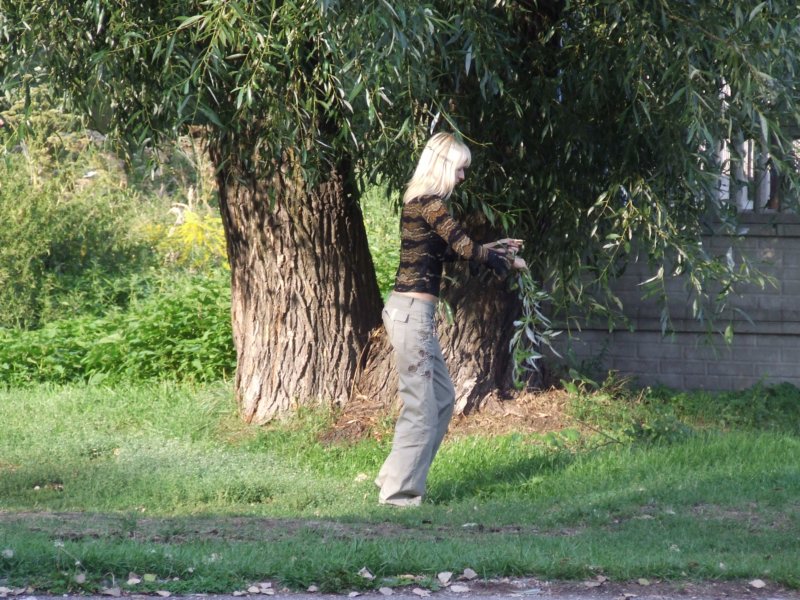 dscf2476.jpg
