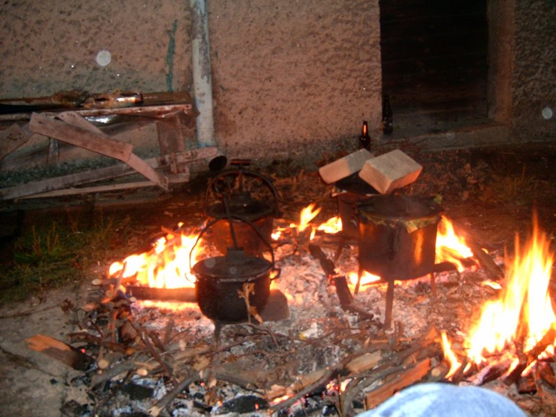 hpim5003.jpg
