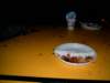 hpim5039_small.jpg