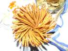 dscf5476_small.jpg