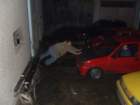 dscf5559_small.jpg