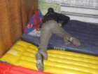 dscf5611_small.jpg