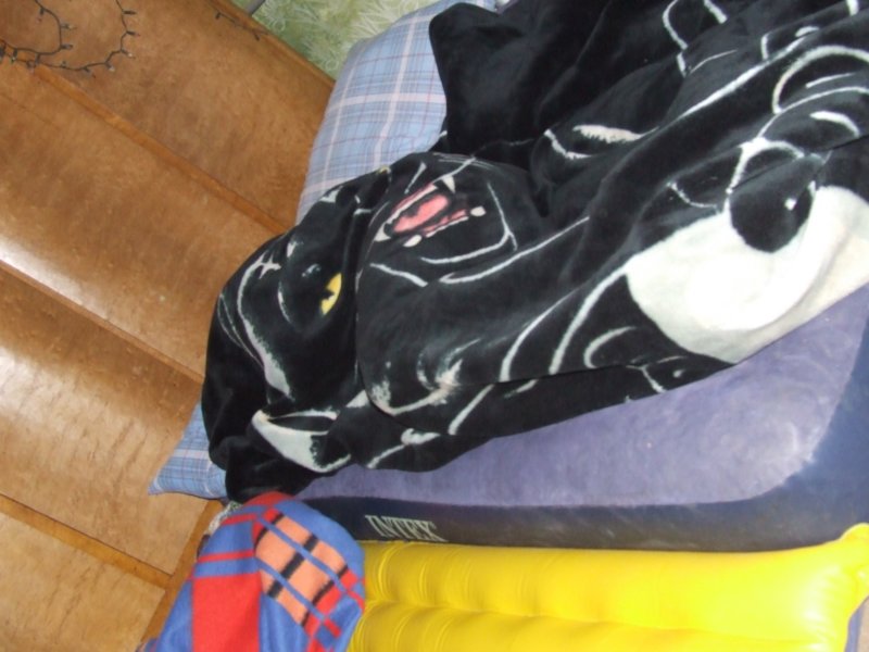 dscf5647.jpg