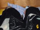 dscf5667_small.jpg