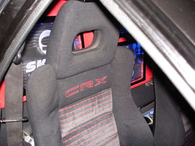 photo29.jpg