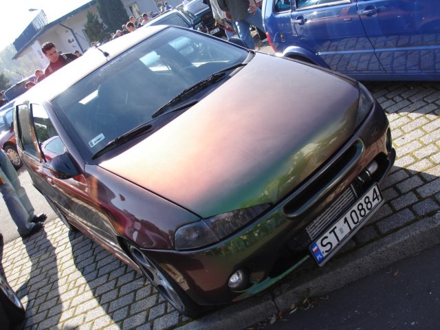photo49.jpg