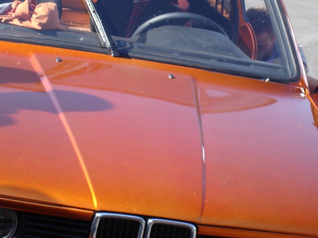 photo95.jpg